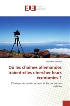 Elisha Ben Yeshoua - Où les chaînes allemandes iraient-elles chercher leurs économies ?