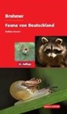 Matthia Schaefer, Matthias Schaefer - Brohmer - Fauna von Deutschland