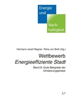 Petra von Booth, von Booth, von Booth, Hermann-Jose Wagner, Hermann-Josef Wagner - Wettbewerb "Energieeffiziente Stadt". Bd.8