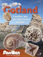Redaktio Fossilien, Redaktion Fossilien, Redaktion Fossilien - Gotland - Fossilien aus der silurischen Südsee