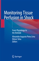 Alexandr Augusto Pinto Lima, Alexandre Augusto Pinto Lima, Alexandre Augusto Pinto Lima, Silva, Silva, Eliézer Silva - Monitoring Tissue Perfusion in Shock