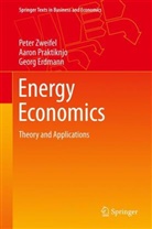Georg Erdmann, Aaro Praktiknjo, Aaron Praktiknjo, Pete Zweifel, Peter Zweifel - Energy Economics