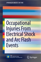 Richard Campbell, Richard B Campbell, Richard B. Campbell, David A Dini, David A. Dini - Occupational Injuries From Electrical Shock and Arc Flash Events