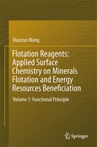 Dianzuo Wang - Flotation Reagents: Applied Surface Chemistry on Minerals Flotation and Energy Resources Beneficiation