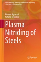 Hossei Aghajani, Hossein Aghajani, Sahand Behrangi - Plasma Nitriding of Steels