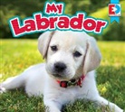 Heather Kissock - My Labrador