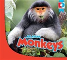 Jared Siemens - All about Monkeys