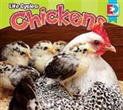 Maria Koran, Weigl - Life Cycles: Chickens