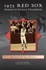 Raymond Sinibaldi - 1975 Red Sox