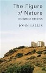 John Sallis - Figure of Nature