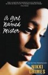 Nikki Grimes - A Girl Named Mister