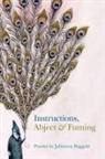 Julianna Baggott - Instructions