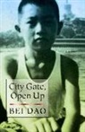 Bei DAO - Open Up, City Gate