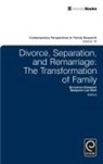Sampson Lee Blair, Giovanna Gianesini, Sampson Lee Blair - Divorce, Separation, and Remarriage