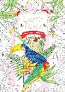 Flame Tree Studio, Daisy Seal - Exotic Birds Us
