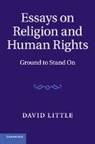 David Little, Little David - Essays on Religion and Human Rights