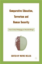 Wayne C. Nelles, Nelles, W Nelles, W. Nelles - Comparative Education, Terrorism and Human Security