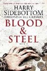 Harry Sidebottom - Blood and Steel