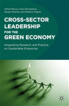 Alfred Shrivastava Marcus, Kenneth A. Loparo, A. Marcus, Stefano Pogutz, S Sharma, S. Sharma... - Cross-Sector Leadership for the Green Economy