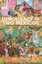 G Correa-Cabrera, G. Correa-Cabrera, Guadalupe Correa-Cabrera - Democracy in 'Two Mexicos'