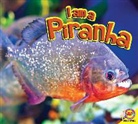 John Willis - I Am a Piranha