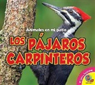 Aaron Carr - Los Pájaros Carpinteros