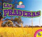 Alexis Roumanis - Las Praderas