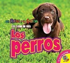 Aaron Carr - Los Perros