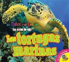Aaron Carr - Las Tortugas Marinas
