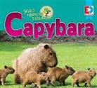 Katie Gillespie - Animals of the Amazon Rainforest: Capybara
