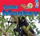 Katie Gillespie - Animals of the Amazon Rainforest: Spider Monkey
