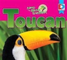 Katie Gillespie - Animals of the Amazon Rainforest: Toucan