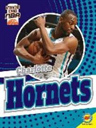 Sam Moussavi - Charlotte Hornets