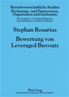 Stephan Rosarius, Stephan Michael Rosarius - Bewertung von Leveraged Buyouts