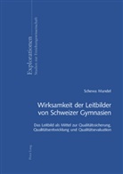 Schewa Mandel - Wirksamkeit der Leitbilder von Schweizer Gymnasien