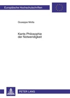 Giuseppe Motta - Kants Philosophie der Notwendigkeit