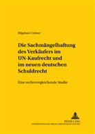 Bilgehan Cetiner - Die Sachmängelhaftung des Verkäufers im UN-Kaufrecht und im neuen deutschen Schuldrecht