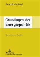 Danyel Reiche - Grundlagen der Energiepolitik