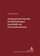 Christoph Paglotke, Manfred Maiwald - Notstand und Notwehr bei Bedrohungen innerhalb von Prozesssituationen