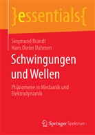 Siegmun Brandt, Siegmund Brandt, Hans D. Dahmen, Hans Dieter Dahmen - Schwingungen und Wellen