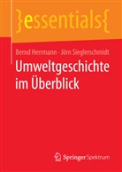 Bern Herrmann, Bernd Herrmann, J¿rn Sieglerschmidt, Jörn Sieglerschmidt - Umweltgeschichte im Überblick