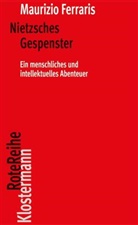 Maurizio Ferraris - Nietzsches Gespenster