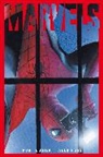 Kurt Busiek, Busiek Kurt, Alex Ross, Ross Alex - Marvels