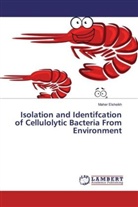 Maher Elsheikh - Isolation and Identifcation of Cellulolytic Bacteria From Environment