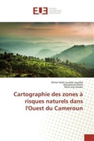 Assak, Réné Joly Assako, Dieudonn Bitom, Dieudonné Bitom, Olivier Noë Leumbe Leumbe, Olivier Noël Leumbe Leumbe - Cartographie des zones à risques naturels dans l'Ouest du Cameroun