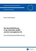 Pierre-André Brandt - Die Geschäftsführung in der deutschen GmbH und der norwegischen AS