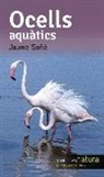 Jaume Sañé Pons - Ocells aquàtics