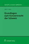 Peter V Kunz, Peter V. Kunz - Grundlagen zum Konzernrecht in der Schweiz
