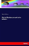 Richard Batka, Martin. asn Plüddemann - Martin Plüddemann und seine Balladen
