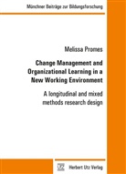 Melissa Promes - Change Management and Organizational Learning in a New Working Environment